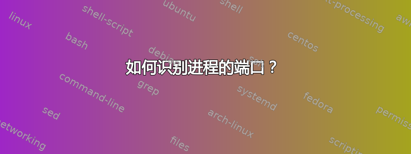 如何识别进程的端口？