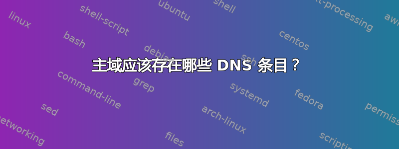 主域应该存在哪些 DNS 条目？