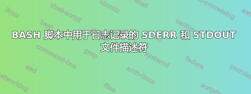 BASH 脚本中用于日志记录的 SDERR 和 STDOUT 文件描述符