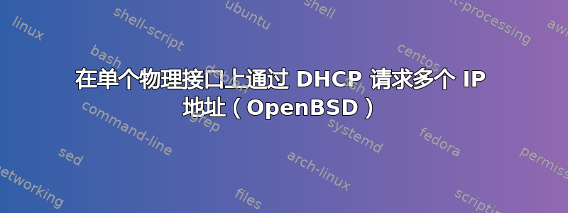 在单个物理接口上通过 DHCP 请求多个 IP 地址（OpenBSD）