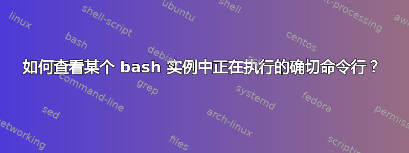 如何查看某个 bash 实例中正在执行的确切命令行？