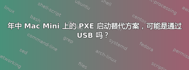 2011 年中 Mac Mini 上的 PXE 启动替代方案，可能是通过 USB 吗？