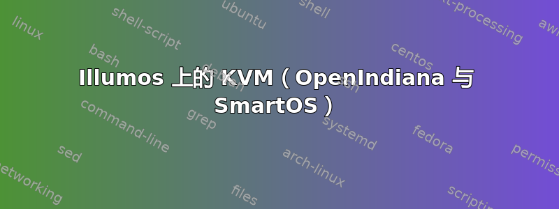 Illumos 上的 KVM（OpenIndiana 与 SmartOS）