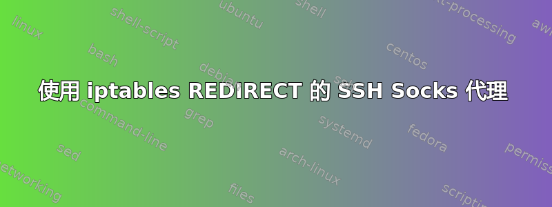 使用 iptables REDIRECT 的 SSH Socks 代理