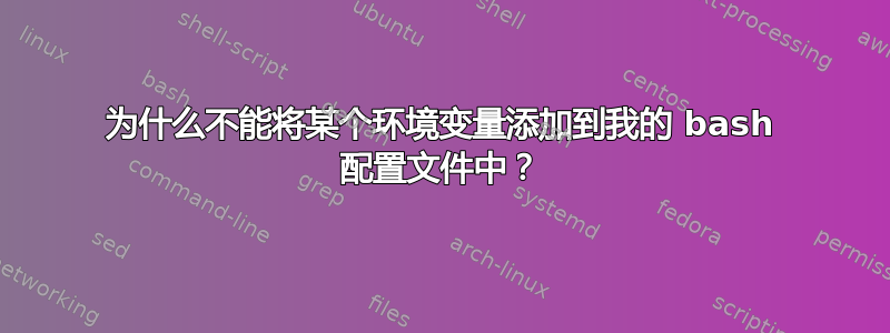 为什么不能将某个环境变量添加到我的 bash 配置文件中？