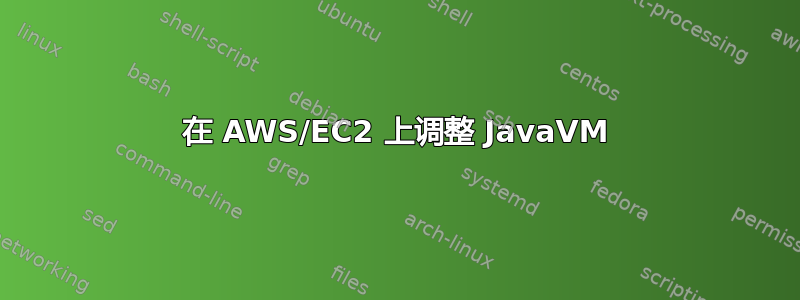 在 AWS/EC2 上调整 JavaVM