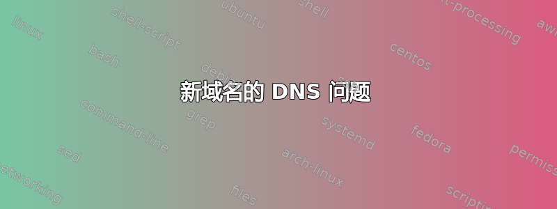 新域名的 DNS 问题