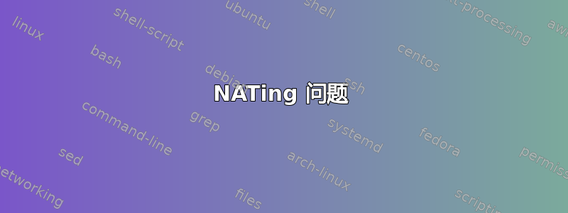 NATing 问题