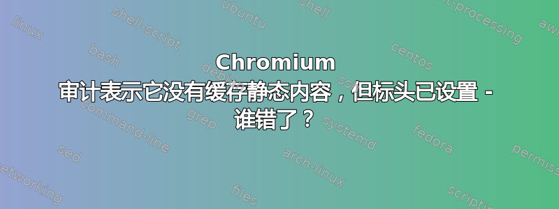 Chromium 审计表示它没有缓存静态内容，但标头已设置 - 谁错了？