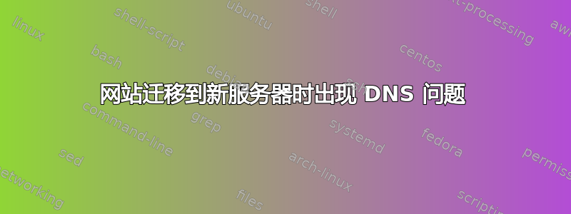 网站迁移到新服务器时出现 DNS 问题