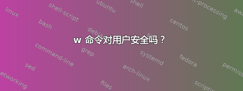 w 命令对用户安全吗？