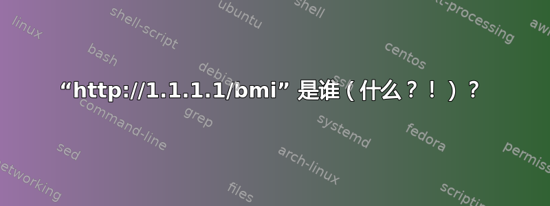 “http://1.1.1.1/bmi” 是谁（什么？！）？