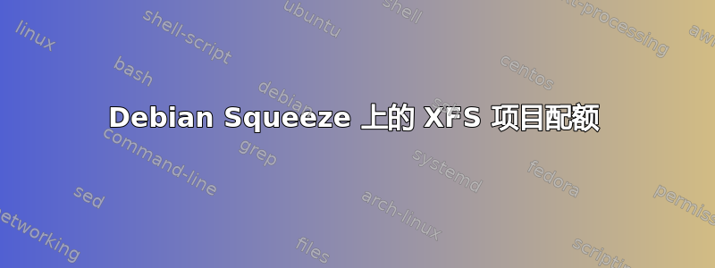 Debian Squeeze 上的 XFS 项目配额