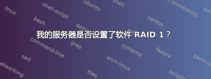 我的服务器是否设置了软件 RAID 1？