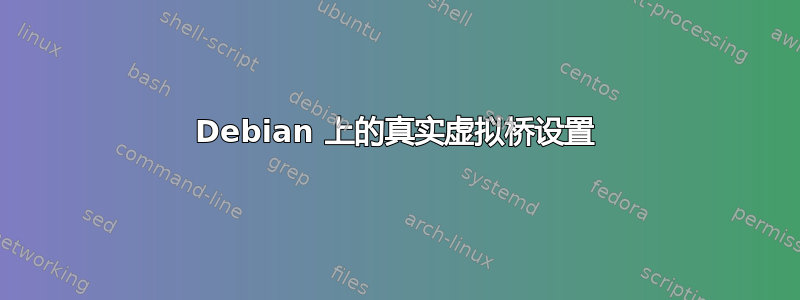 Debian 上的真实虚拟桥设置