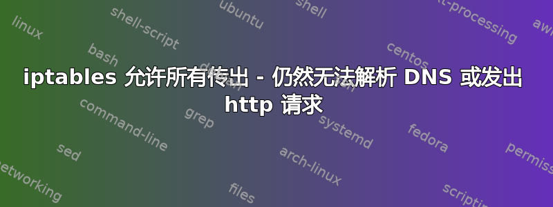 iptables 允许所有传出 - 仍然无法解析 DNS 或发出 http 请求