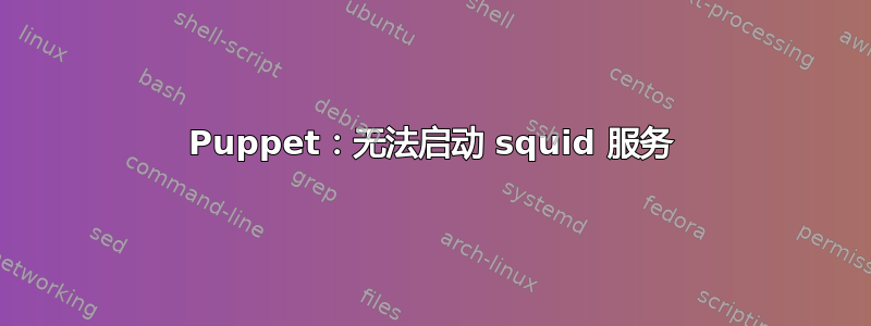 Puppet：无法启动 squid 服务