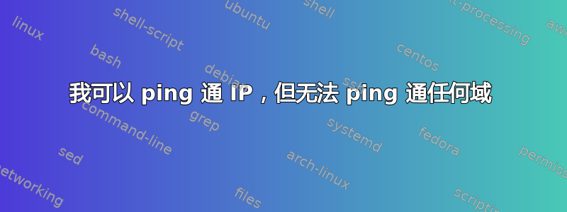 我可以 ping 通 IP，但无法 ping 通任何域