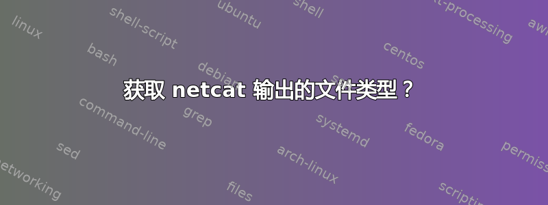 获取 netcat 输出的文件类型？