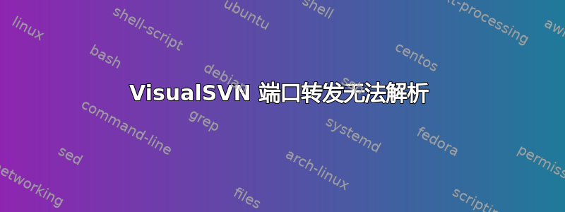 VisualSVN 端口转发无法解析