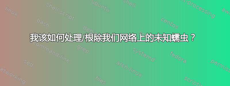 我该如何处理/根除我们网络上的未知蠕虫？