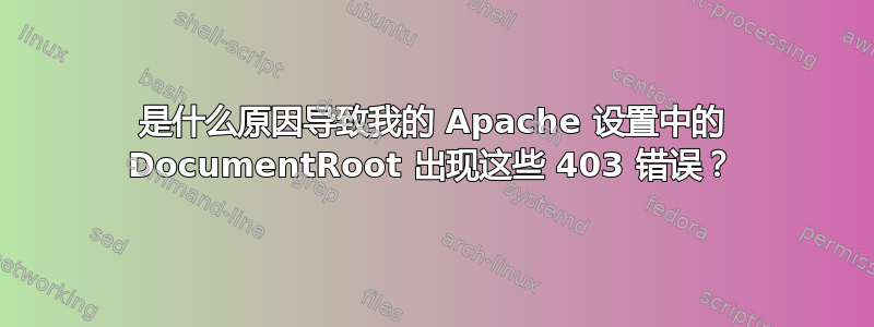 是什么原因导致我的 Apache 设置中的 DocumentRoot 出现这些 403 错误？