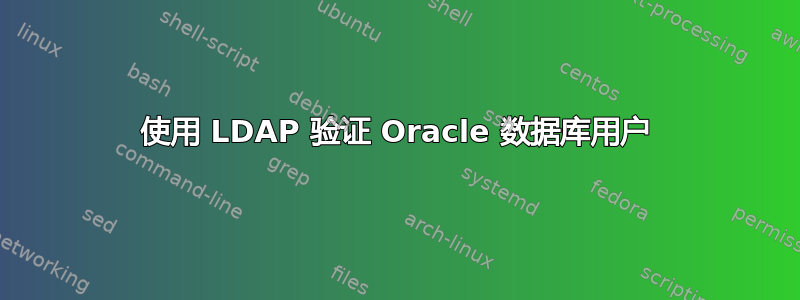 使用 LDAP 验证 Oracle 数据库用户