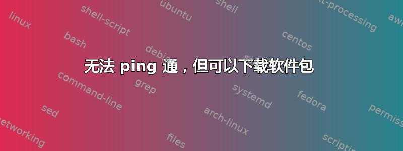 无法 ping 通，但可以下载软件包