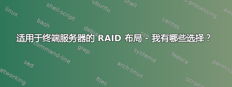 适用于终端服务器的 RAID 布局 - 我有哪些选择？