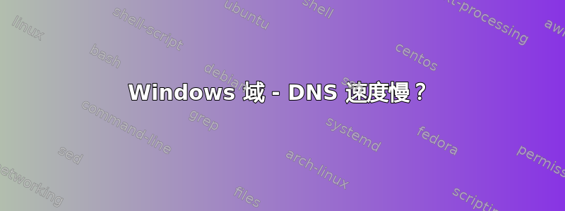 Windows 域 - DNS 速度慢？