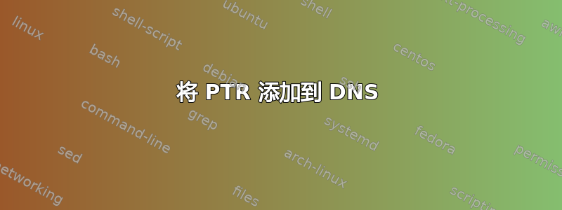 将 PTR 添加到 DNS