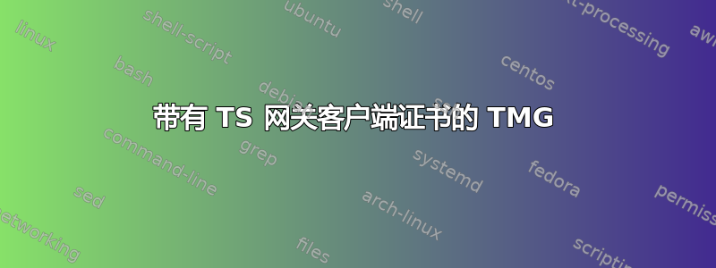 带有 TS 网关客户端证书的 TMG