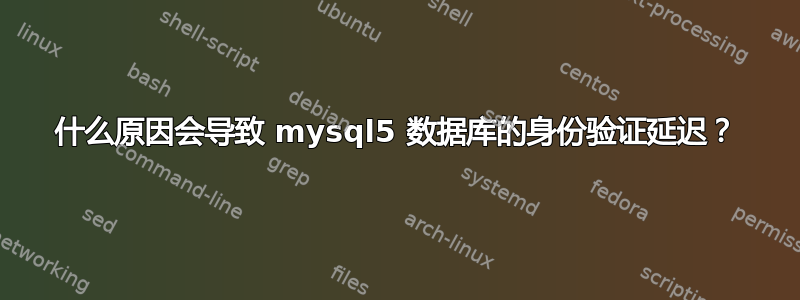 什么原因会导致 mysql5 数据库的身份验证延迟？