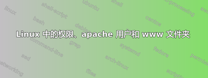 Linux 中的权限、apache 用户和 www 文件夹