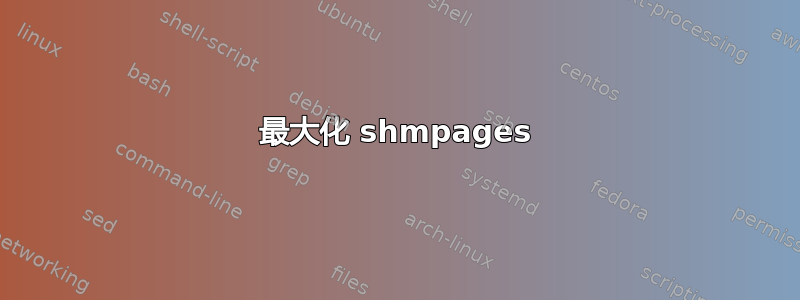 最大化 shmpages