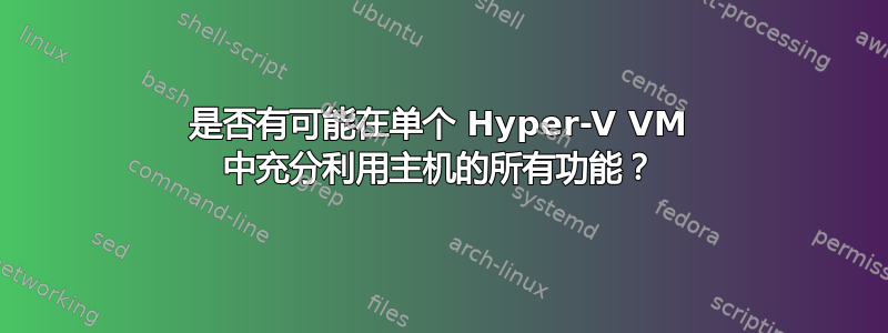 是否有可能在单个 Hyper-V VM 中充分利用主机的所有功能？