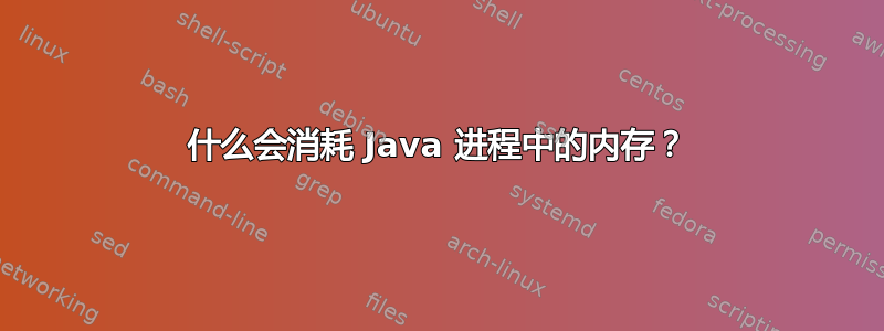 什么会消耗 Java 进程中的内存？