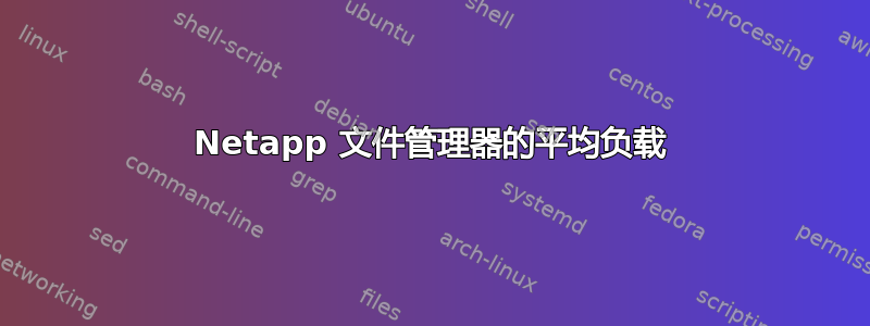 Netapp 文件管理器的平均负载