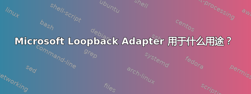 Microsoft Loopback Adapter 用于什么用途？