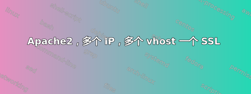 Apache2，多个 IP，多个 vhost 一个 SSL