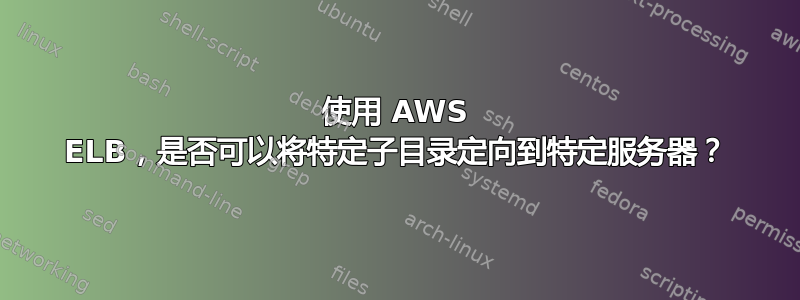 使用 AWS ELB，是否可以将特定子目录定向到特定服务器？