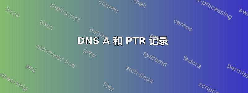 DNS A 和 PTR 记录