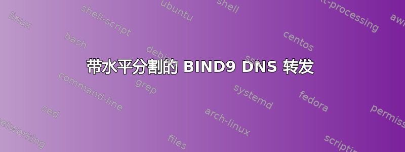 带水平分割的 BIND9 DNS 转发