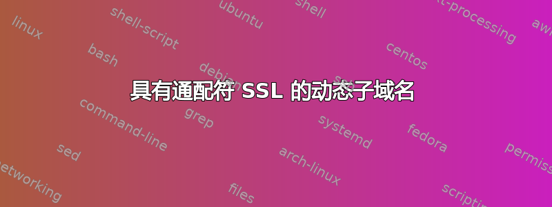 具有通配符 SSL 的动态子域名