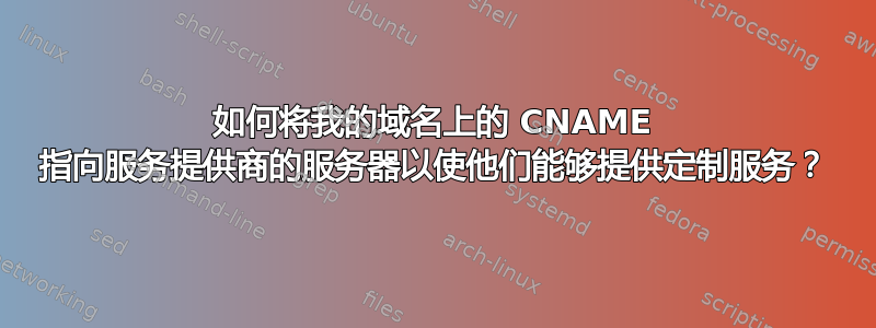 如何将我的域名上的 CNAME 指向服务提供商的服务器以使他们能够提供定制服务？