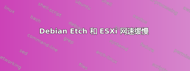 Debian Etch 和 ESXi 网速缓慢