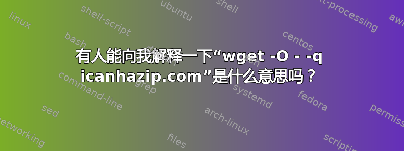 有人能向我解释一下“wget -O - -q icanhazip.com”是什么意思吗？