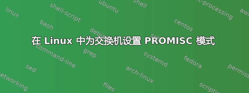 在 Linux 中为交换机设置 PROMISC 模式