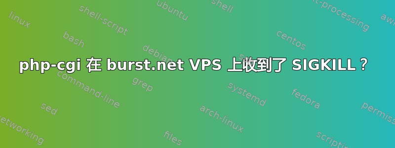 php-cgi 在 burst.net VPS 上收到了 SIGKILL？