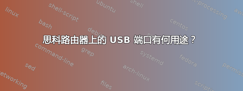 思科路由器上的 USB 端口有何用途？